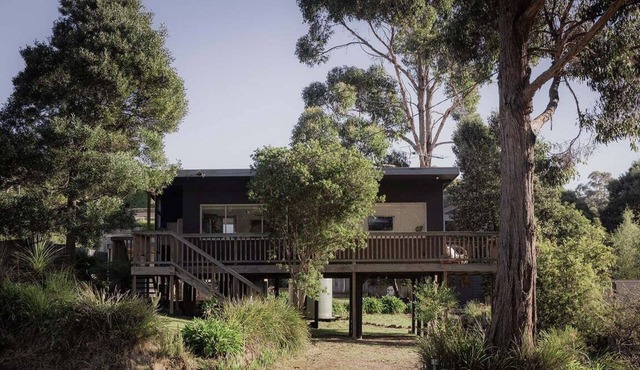 Stewie's Nest - Port Arthur Shack with fire pit in Tasman