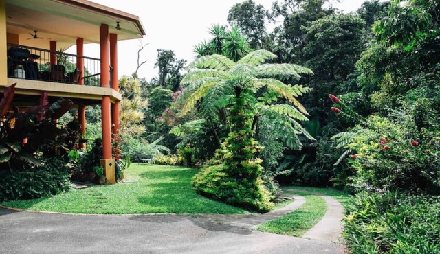 Studio in the Rainforest in Kuranda