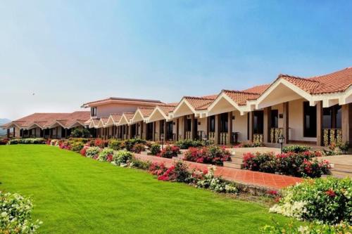 Summer Vines - Nashik in Sinnar