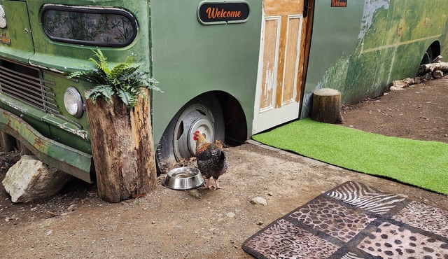 Unique, Exciting Bus Located on 63 acres with a Cosy woodheater. Luxury. in Mountain River