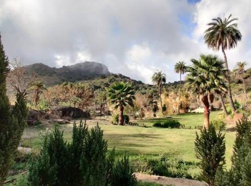 Valley Nest 2BH for 6-12 PAX in Mount Ābu