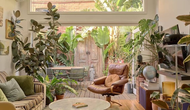 Very Fitzroy: Style, Plants, Sleep-ins — and Soul. in Fitzroy