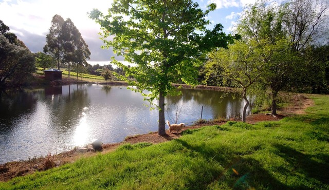 Vineyard Accomodation - Self Catering in Henty
