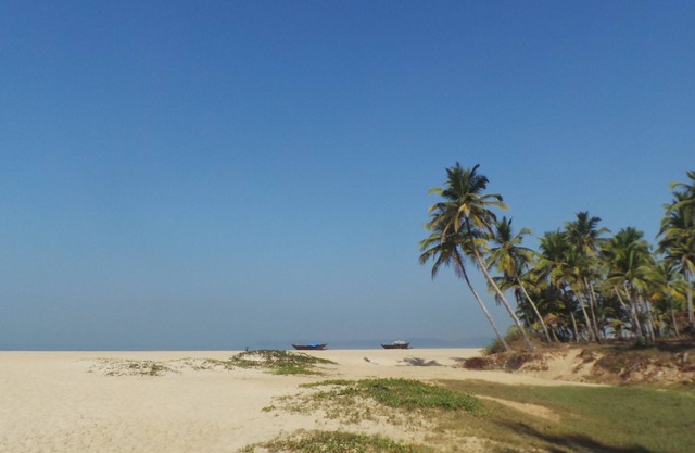 Park Walfredo Goa Beach Side Holiday Rental 