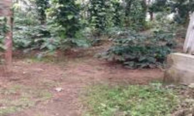 Chikkamagaluru Villa | 65 m² Villa ∙ 1 bedroom ∙ 8 guests