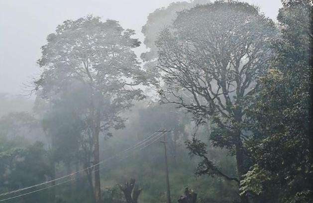 Stuart Hill House | Homestay at Madikeri