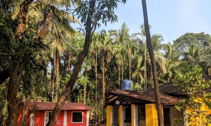 Palolem Hostel | Hostel ∙ 8 guests