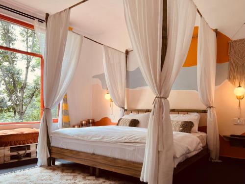 Suja Hostel | Little Bir