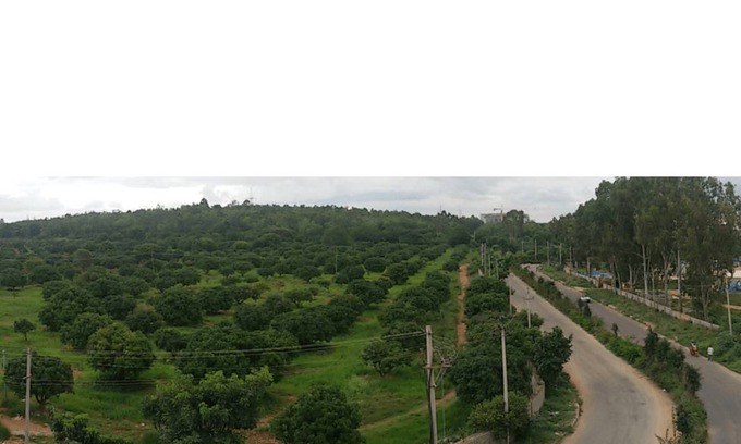 D Souza Layout Resort | Private room ∙ 2 guests
