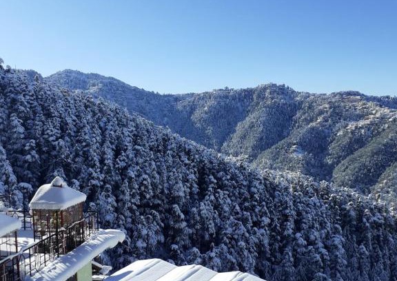 Shimla Apartment | Residence Inn