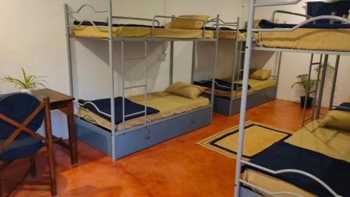 Arambol Hostel | Svabodha Hostels