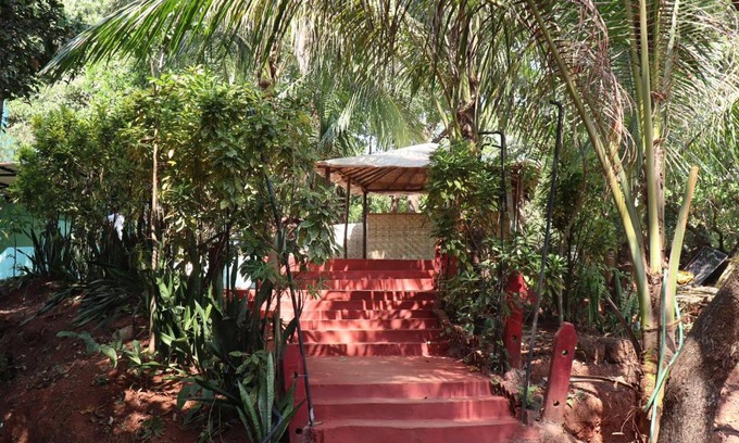 Arambol Hostel | This Is It Jungle Maze Hostel