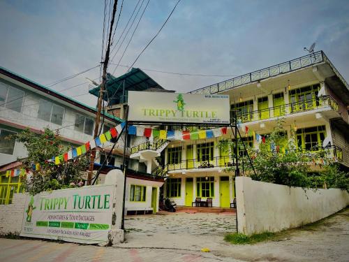 New Manali Hostel | Trippy Turtle Hostel