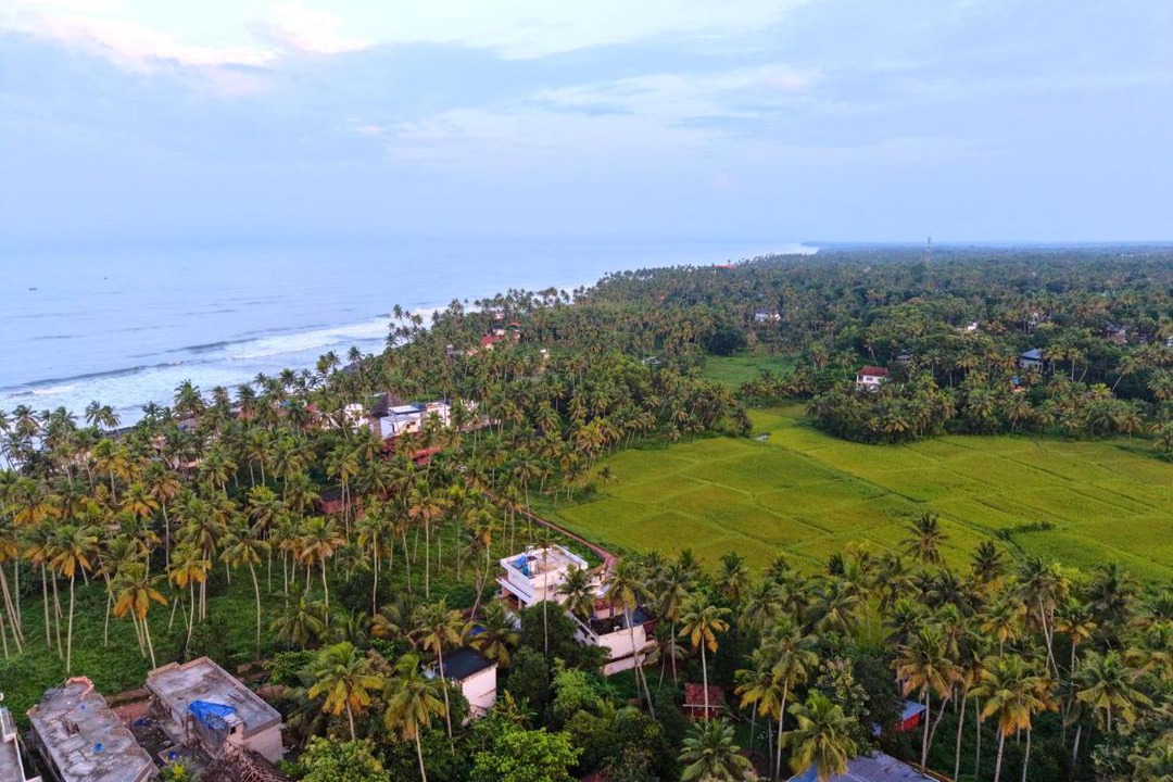 Varkala Resort | Verdant View Beach Resort Varkala by VOYE HOMES