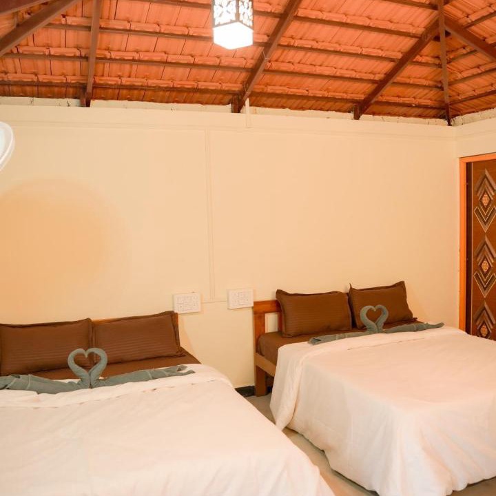Timbholi House | Wild bison jungle stay