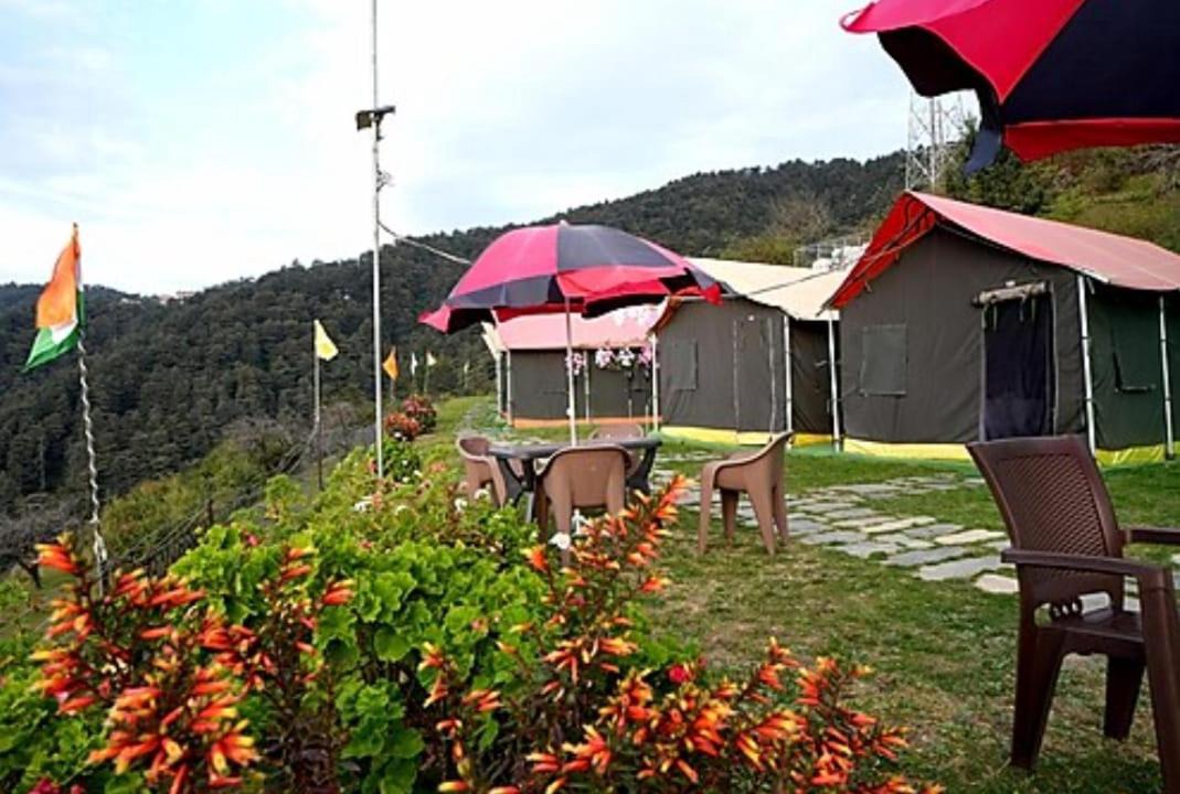 Chail Other | Camping in Chail