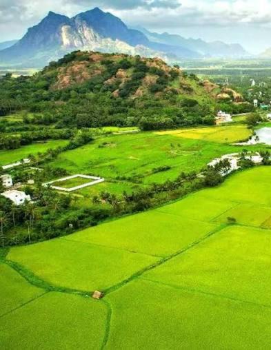 Nagercoil House | AK FARM HOUSE-Holiday home