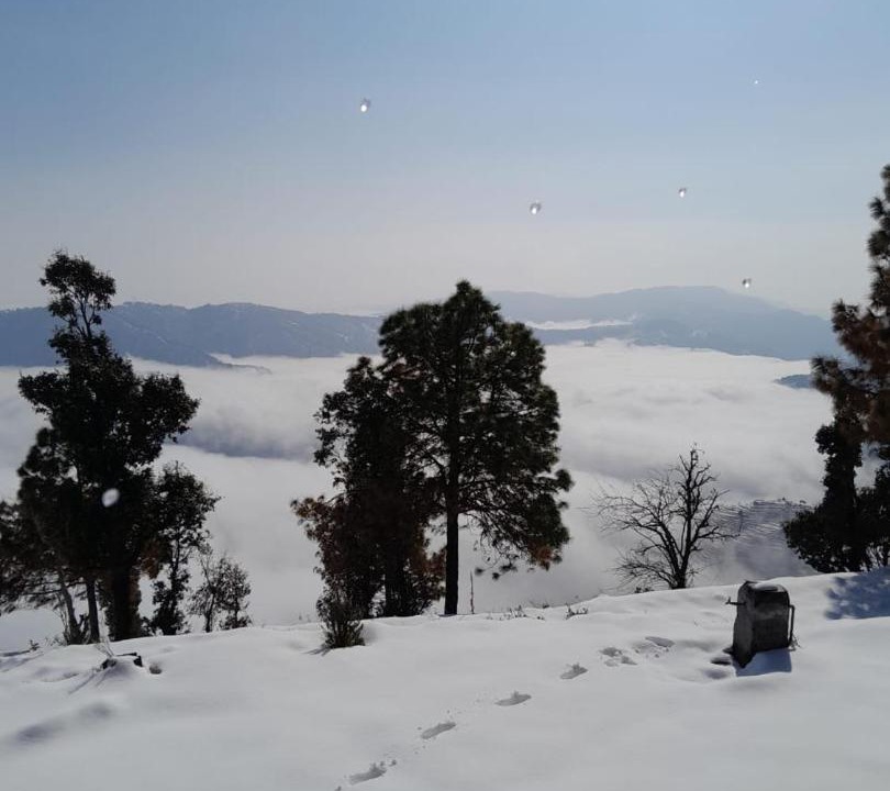 Tehri House | Astitva off-beat Forest Retreat - Chalo Daanda Forest Farm Homestay