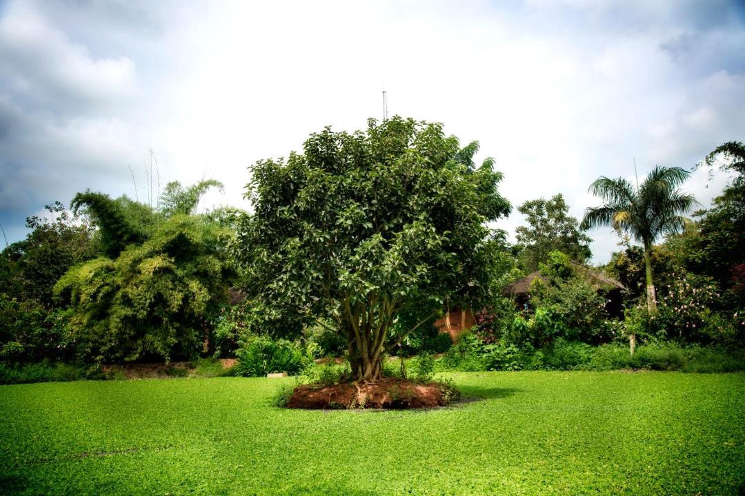 Antharasanthe Resort | Red Earth Kabini