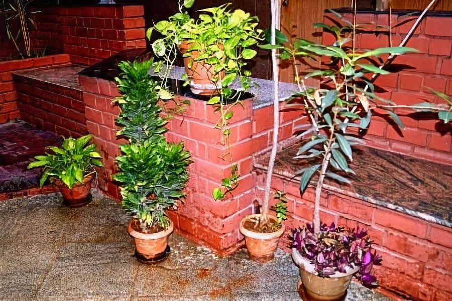 Photo of Patio Balcony in Chickpet