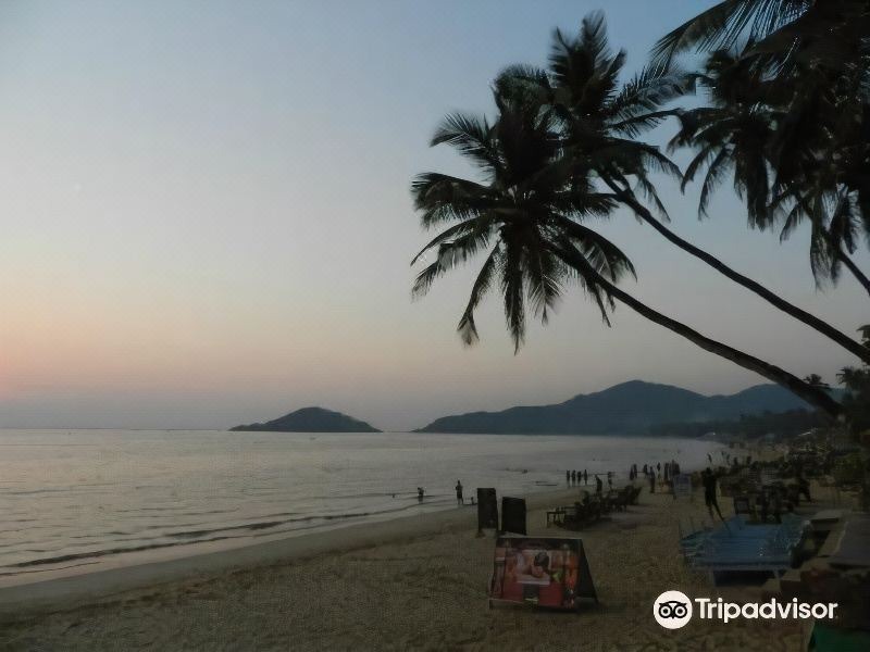 Photo of Outdoor in Palolem