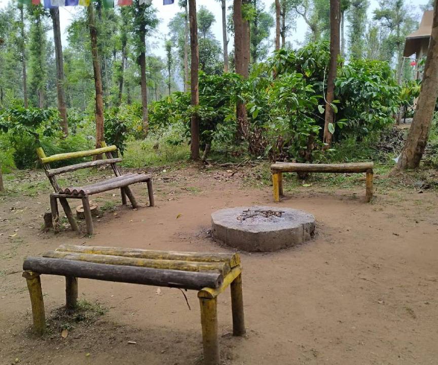 Photo of Others in Tholpetty