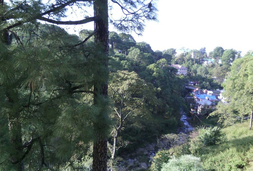 Photo of Others in Palampur