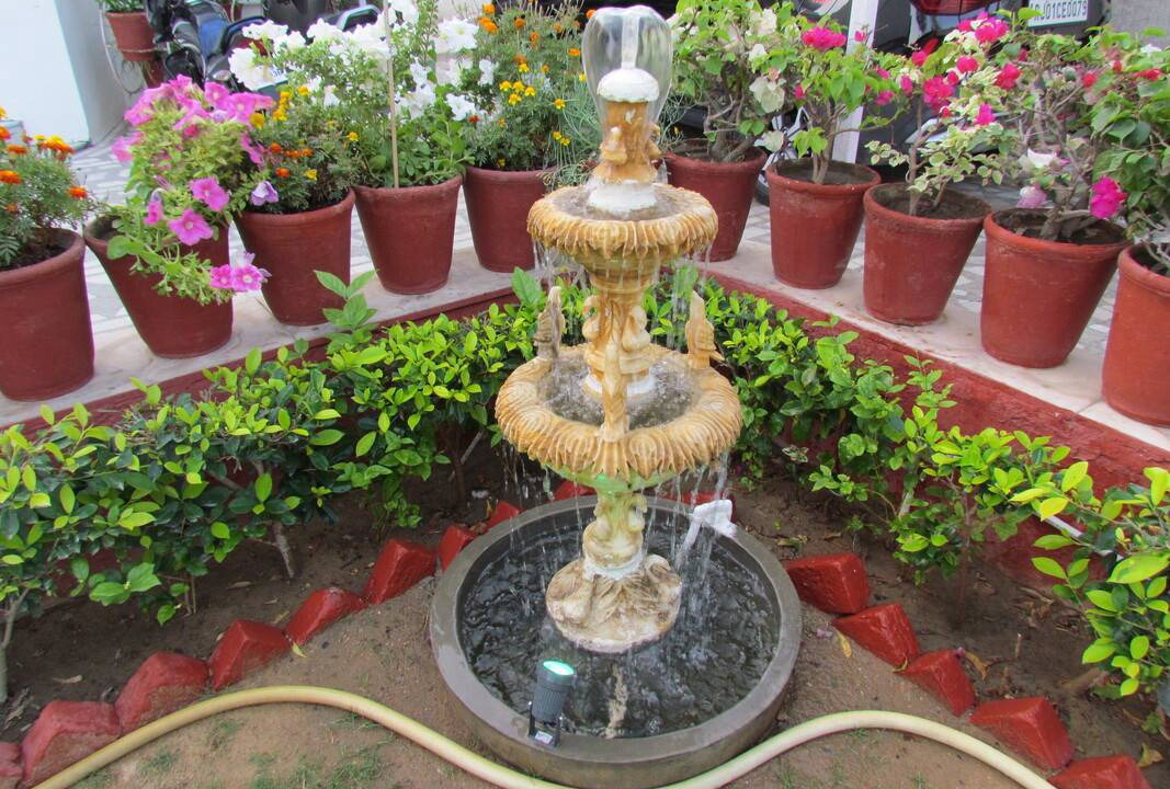 Photo of Others in Ajmer