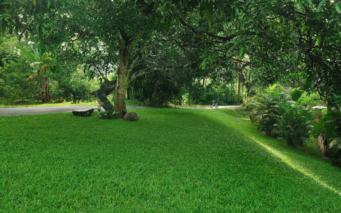 Photo of Outdoor in Pala