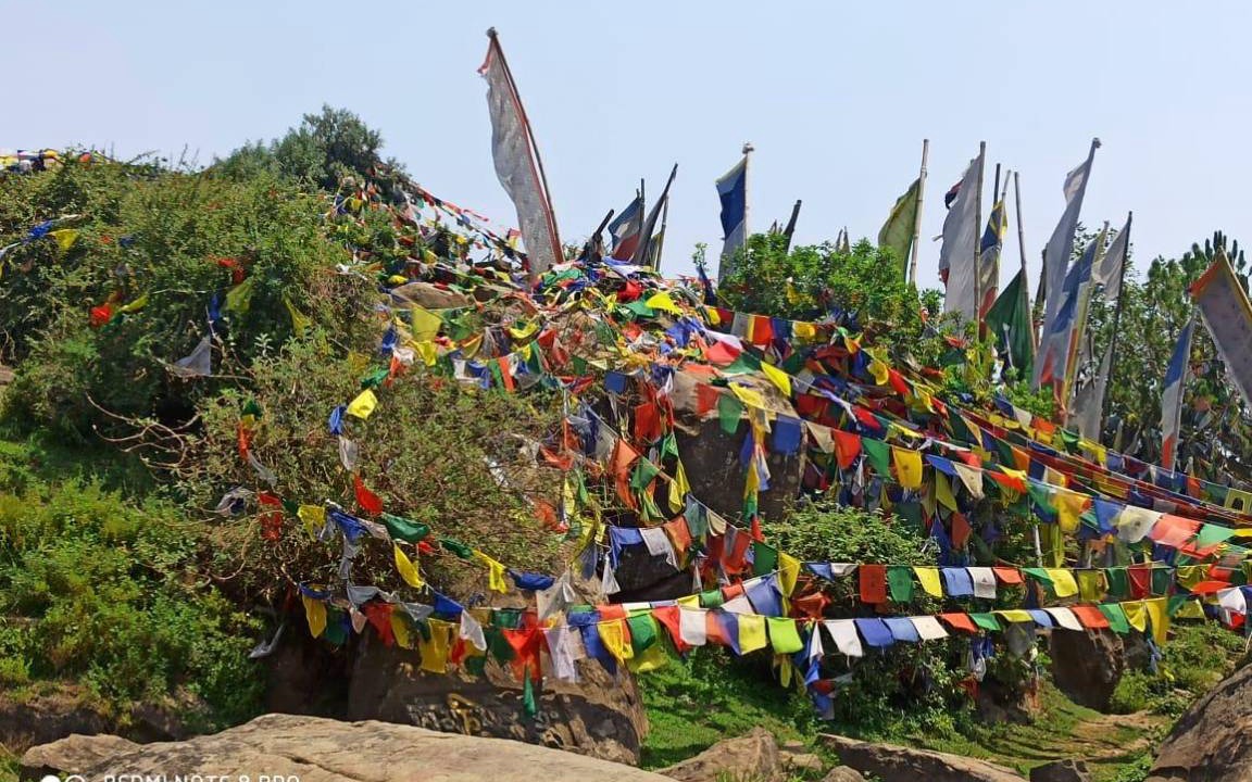 Photo of Others in Rewalsar
