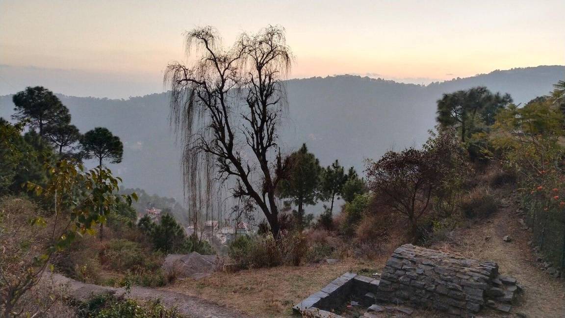 Photo of Others in Barog