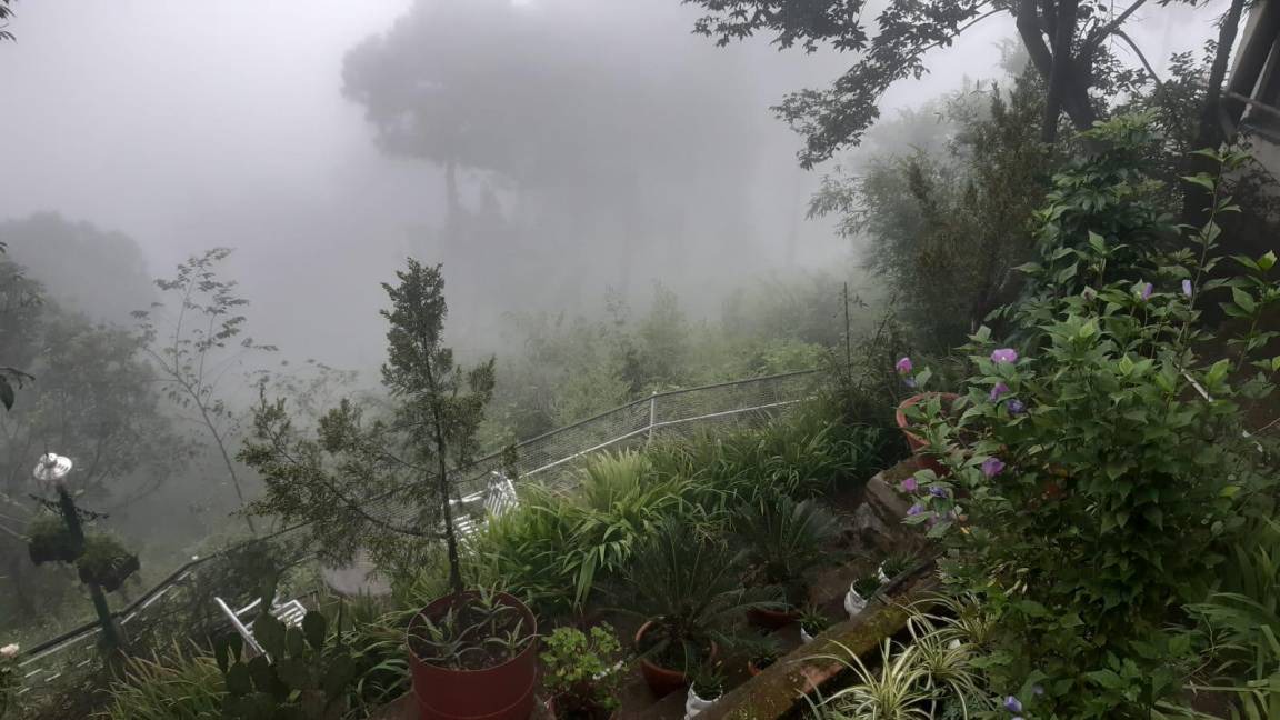 Photo of Others in Kasauli
