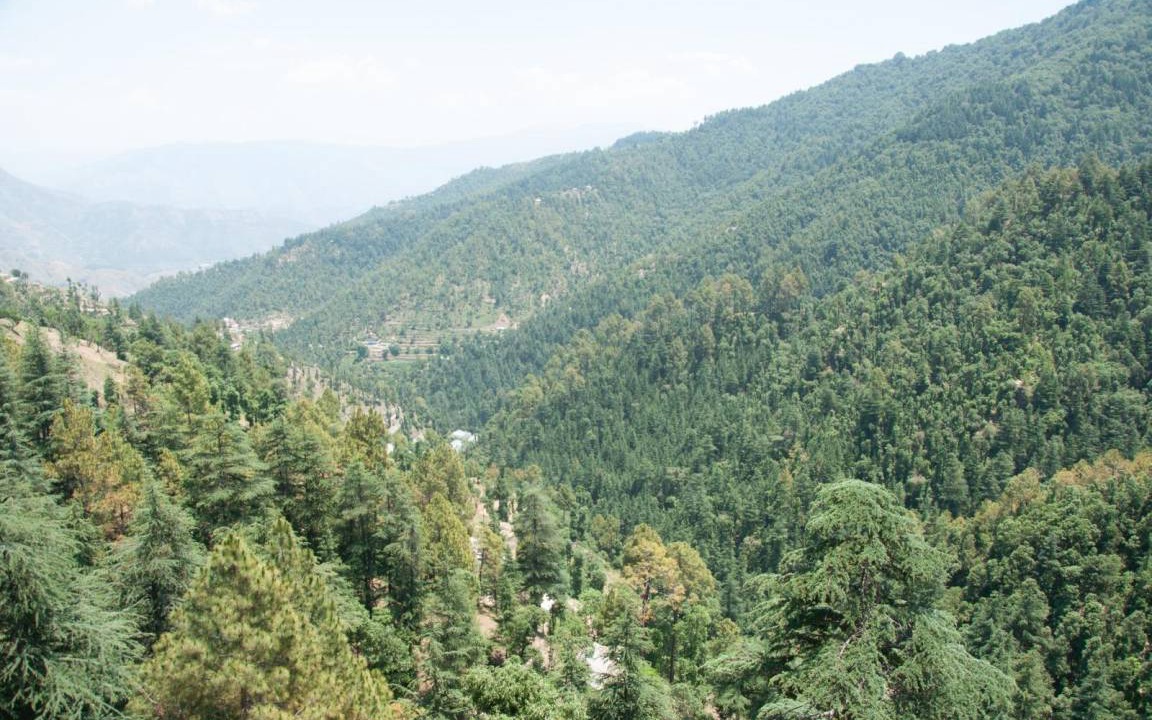 Photo of Others in Chail