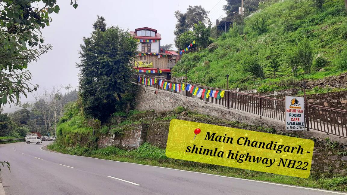 Photo of Others in Shoghi
