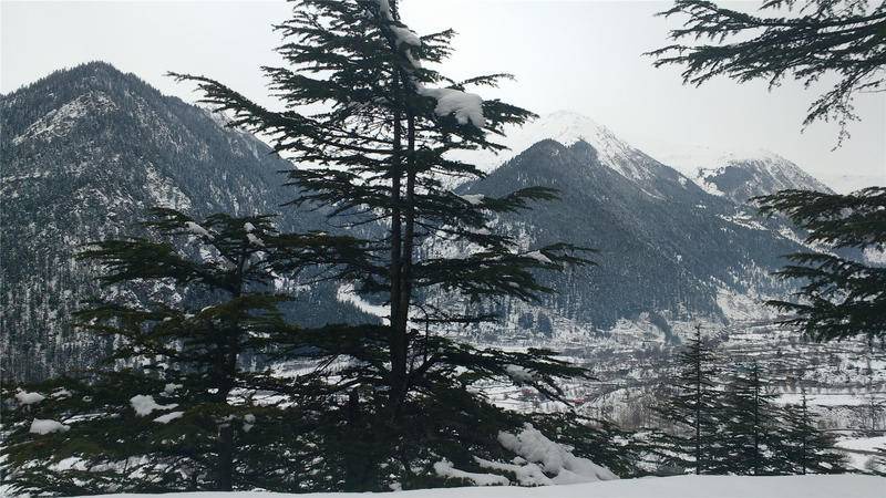 Photo of Others in Sangla