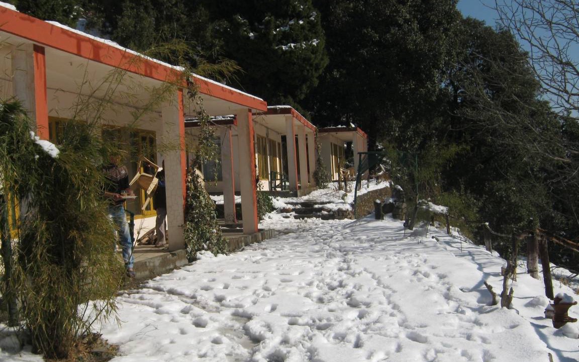 Photo of Others in Pangot