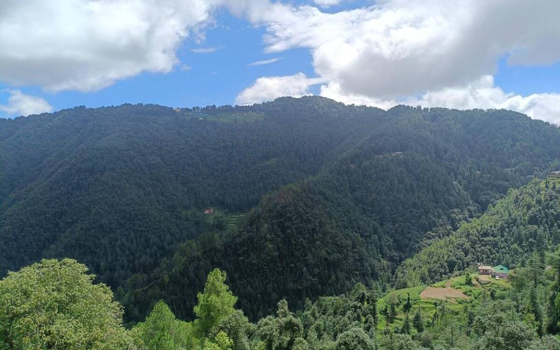 Photo of Others in Chail