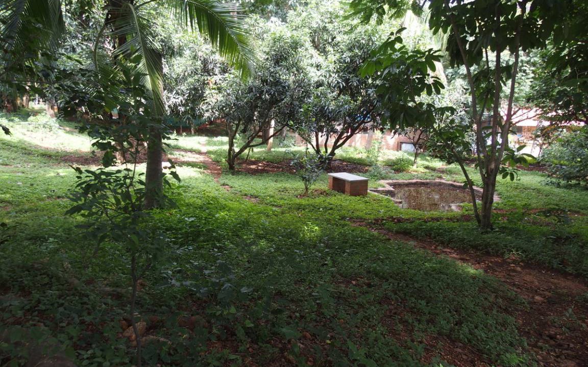 Photo of Others in Agara