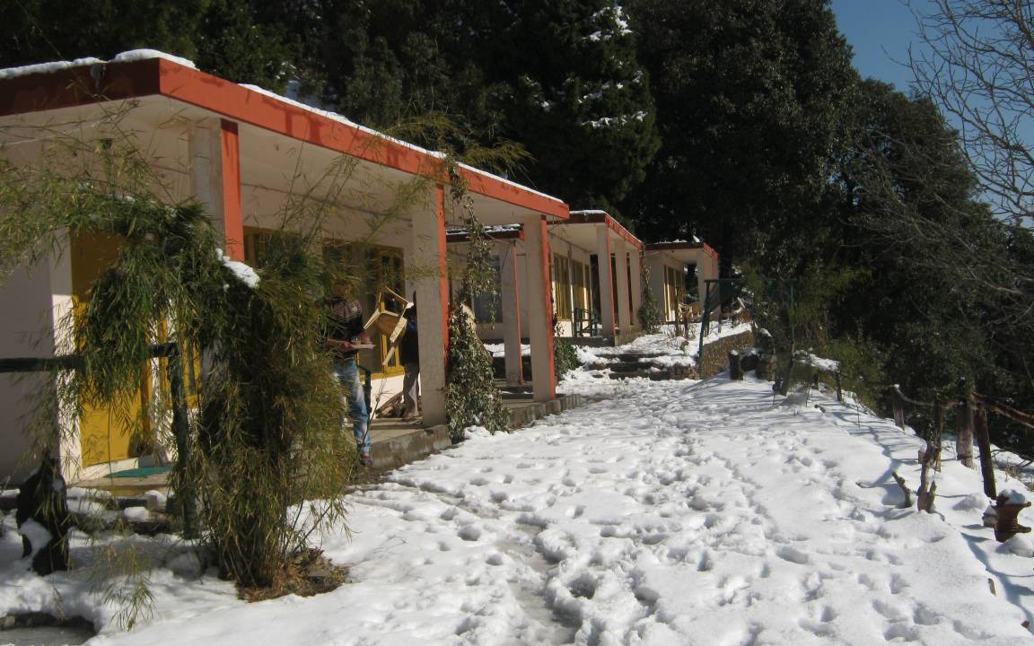 Photo of Others in Pangot