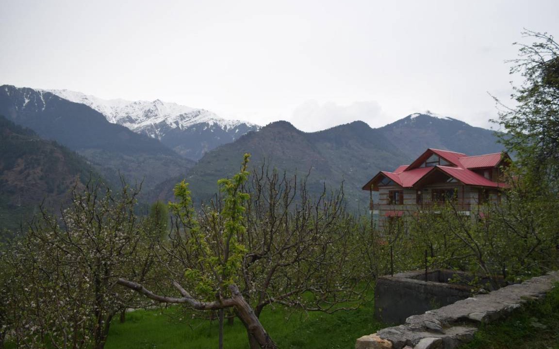 Photo of Others in Naggar