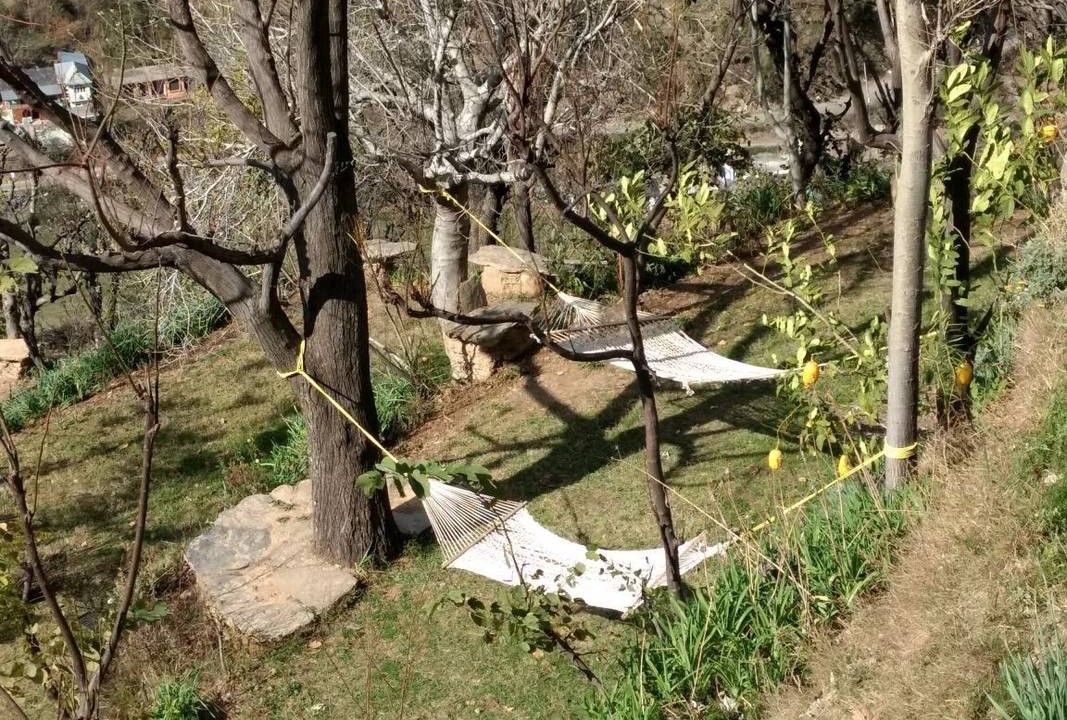 Photo of Others in Chamba