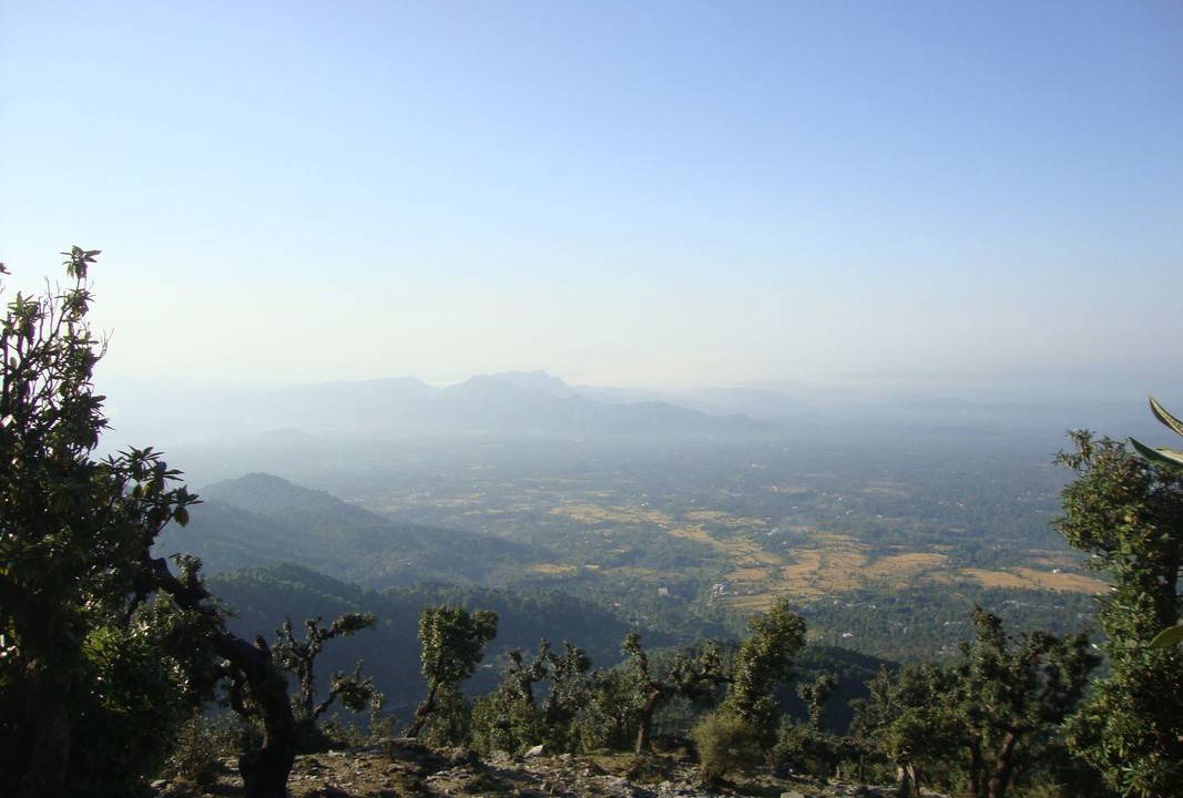 Photo of Others in Palampur