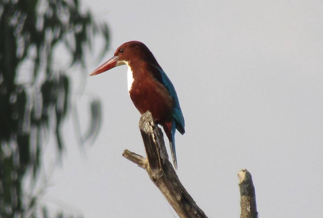 Photo of Others in Palampur
