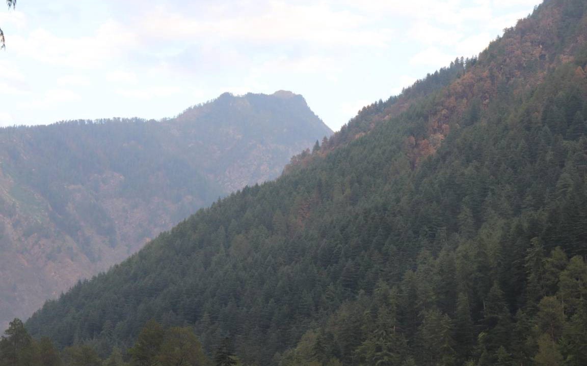 Photo of Others in Kasol