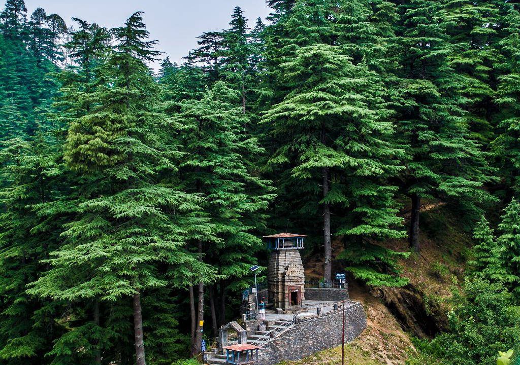Photo of Others in Almora
