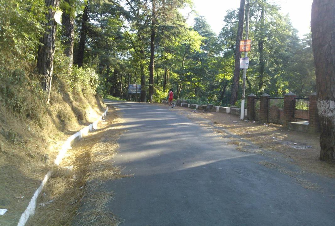 Photo of Others in Palampur