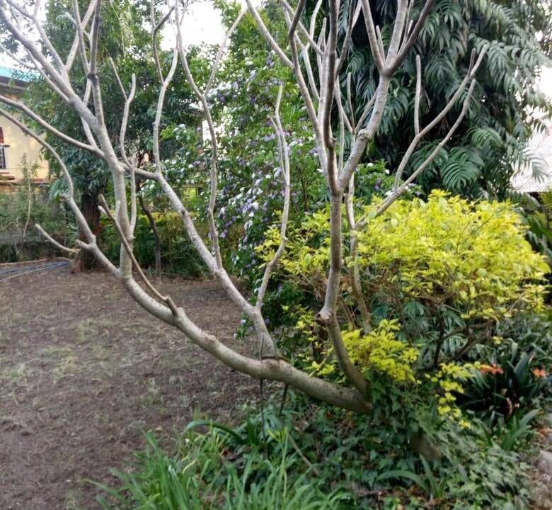 Photo of Outdoor in Sidhpur