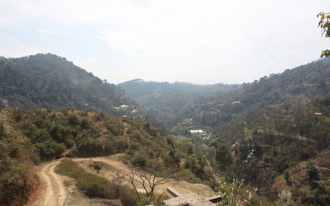 Photo of Others in Shimla
