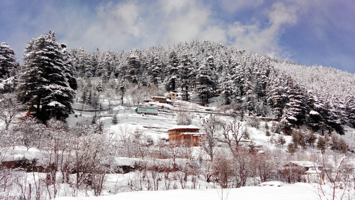 Photo of Others in Sangla