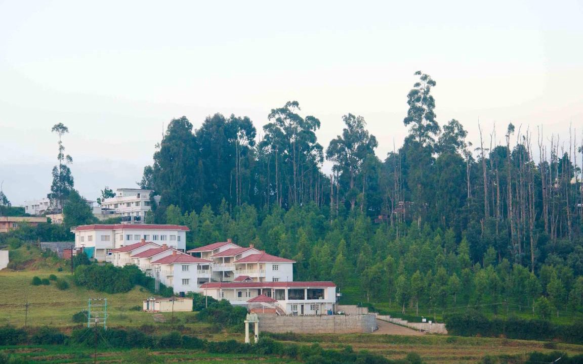 Photo of Buildings in Fern Hill